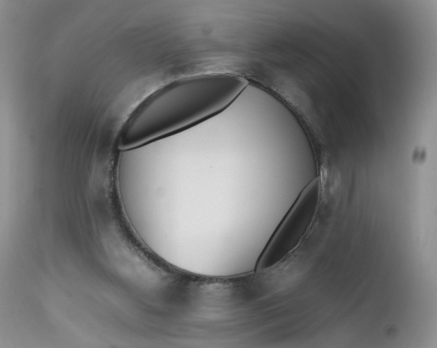 X0000112510156200908311341