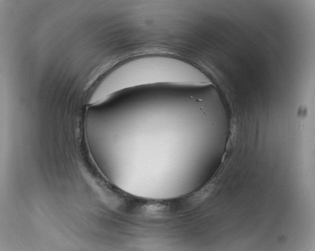 X0000112510158200908311341