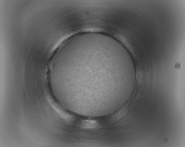 X0000112510159200908311341