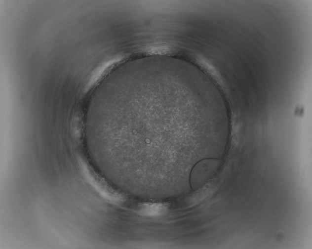 X0000112510161200908311341