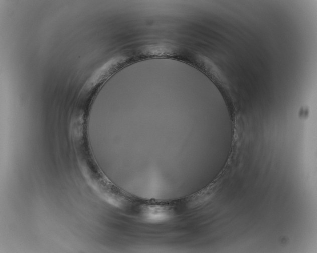 X0000112510163200908311341