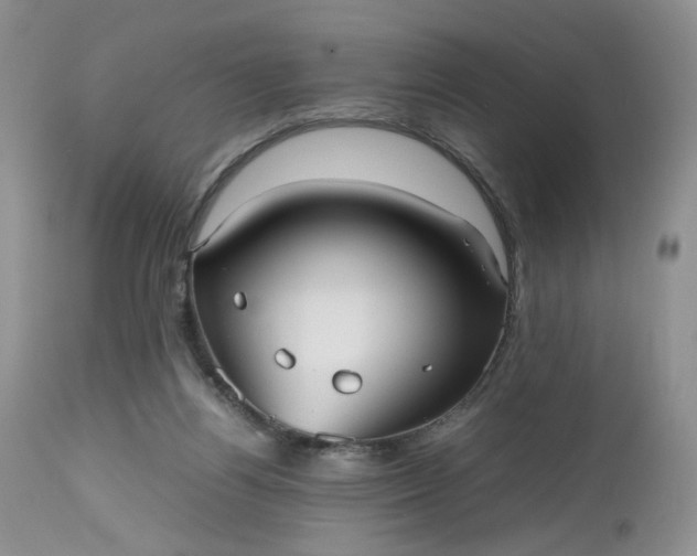 X0000112510164200908311341