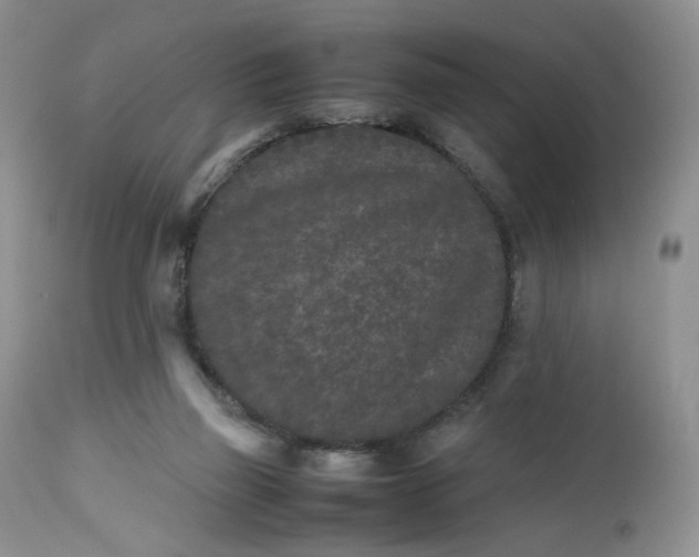 X0000112510165200908311341