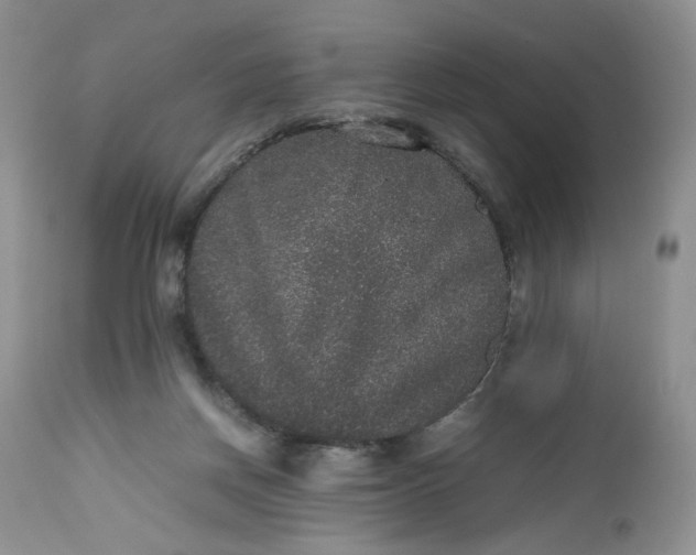 X0000112510166200908311342