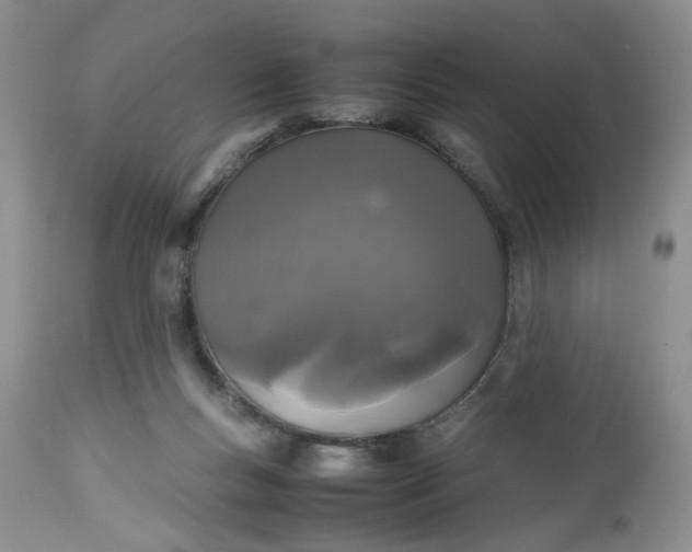 X0000112510167200908311342