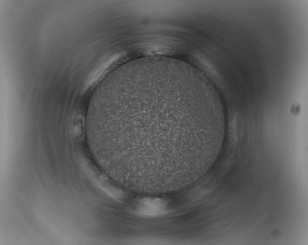 X0000112510169200908311342