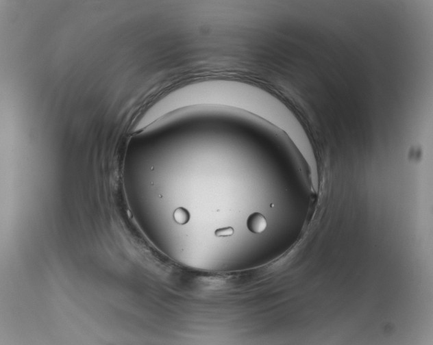 X0000112510170200908311342