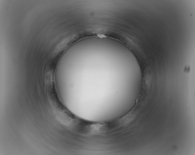 X0000112510172200908311342