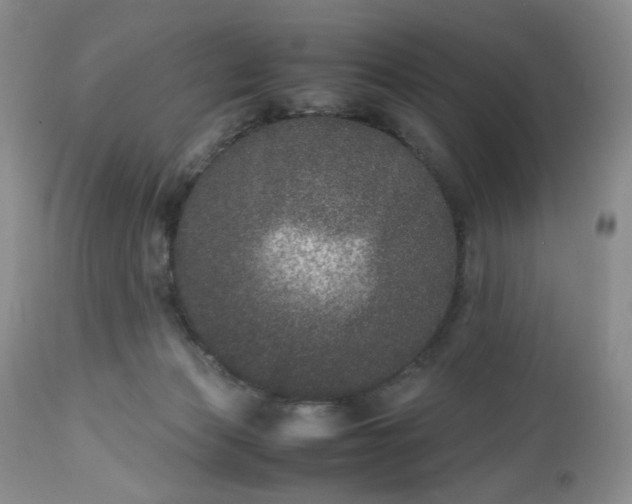 X0000112510173200908311342