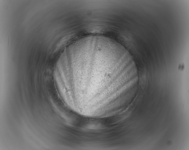 X0000112510175200908311342