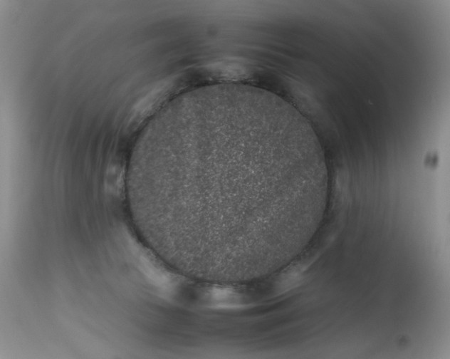 X0000112510177200908311342