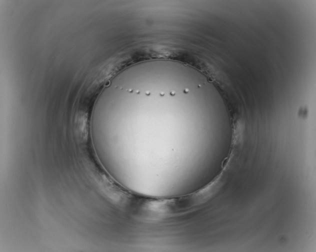 X0000112510178200908311342