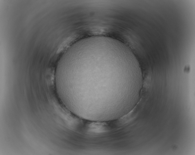 X0000112510179200908311342