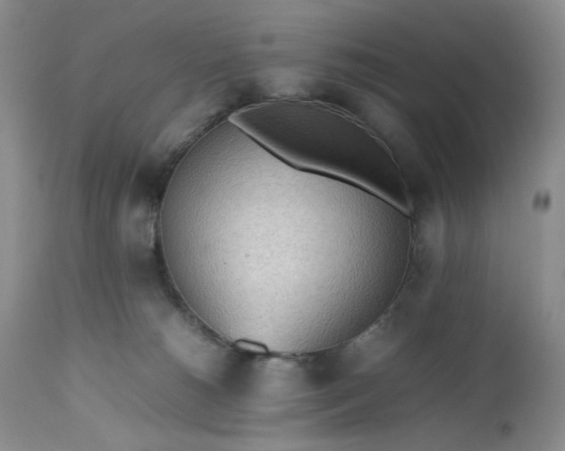 X0000112510180200908311342