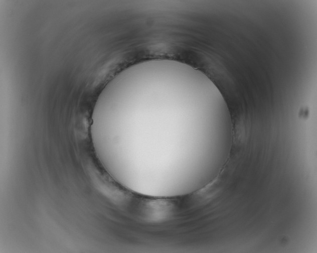 X0000112510183200908311342