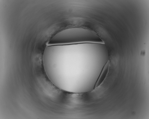 X0000112510184200908311342