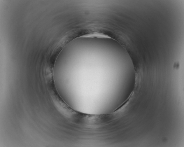 X0000112510186200908311342