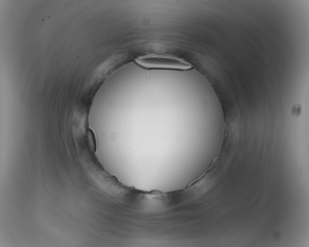 X0000112510188200908311342