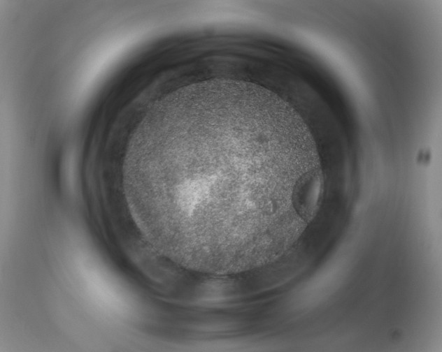 X0000112510189200908311342