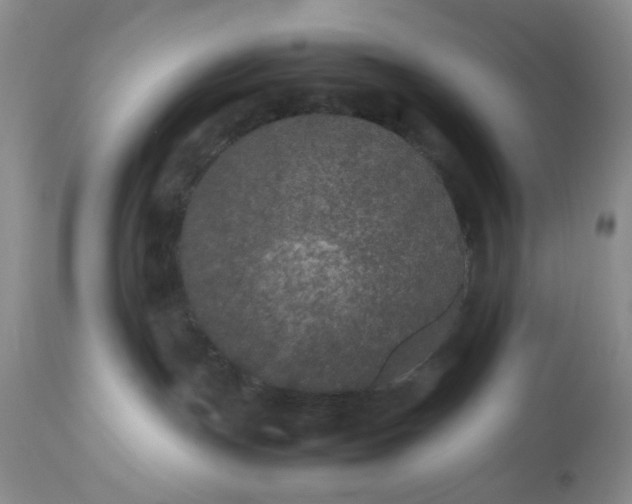 X0000112510191200908311342