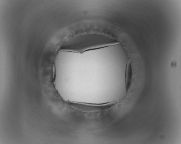 X0000112510192200908311342