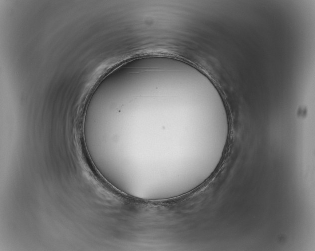 X0000112510193200908311341