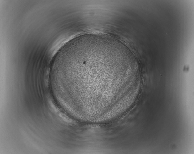 X0000112510194200908311341