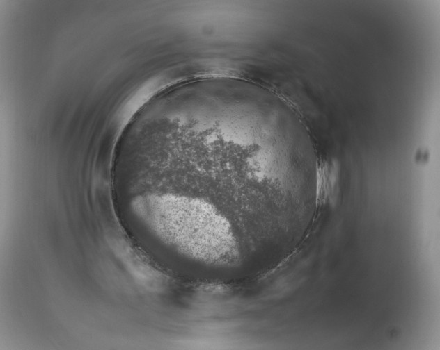 X0000112510195200908311341