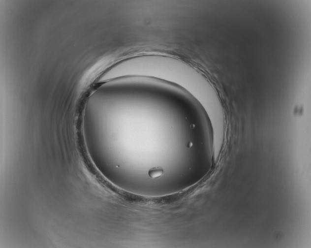 X0000112510197200908311341