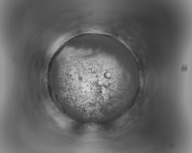 X0000112510199200908311341