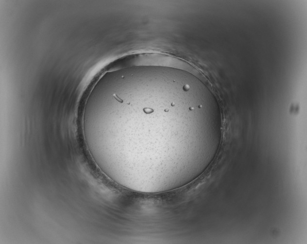 X0000112510200200908311341