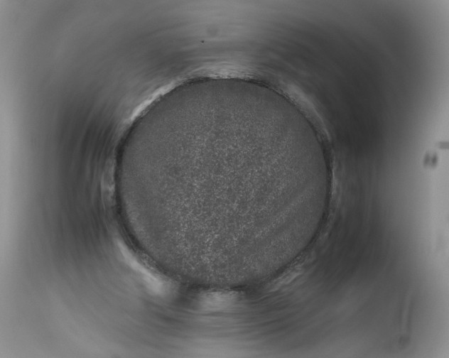 X0000112510202200908311341