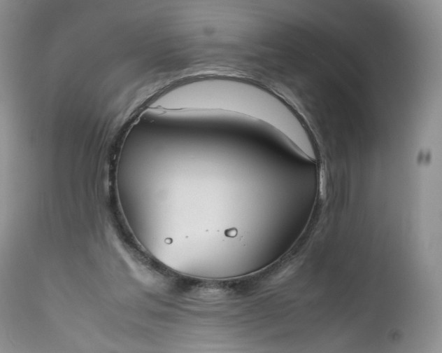 X0000112510205200908311341