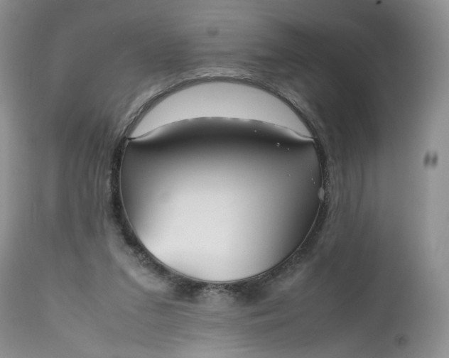 X0000112510207200908311341