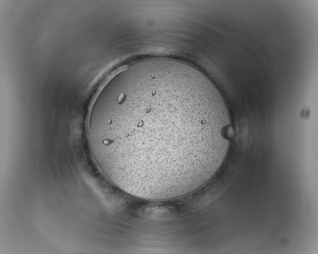 X0000112510208200908311341