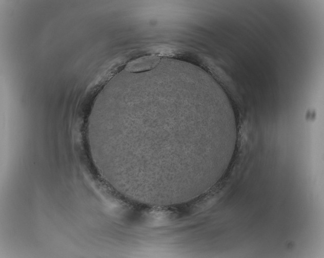 X0000112510209200908311341