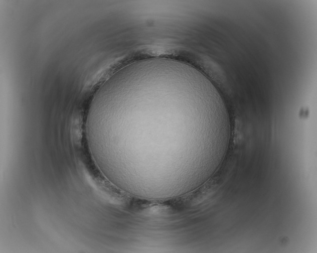 X0000112510210200908311341