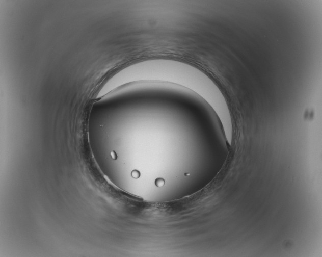 X0000112510211200908311341