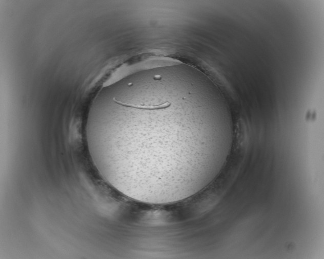 X0000112510212200908311341