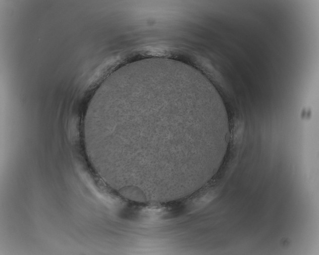 X0000112510213200908311341