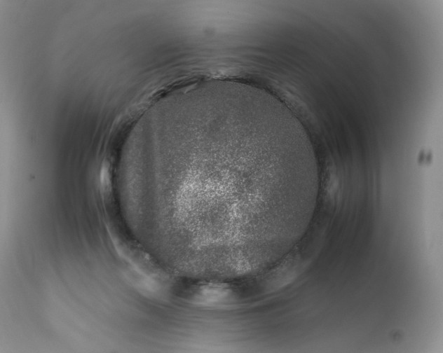 X0000112510214200908311341