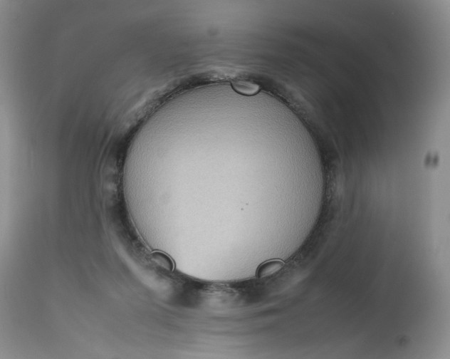 X0000112510215200908311341