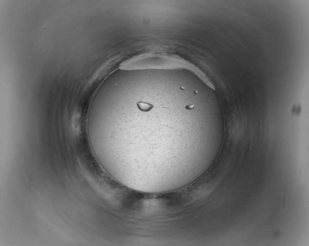 X0000112510216200908311341