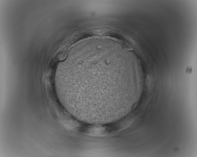 X0000112510217200908311341