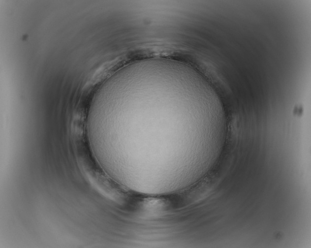 X0000112510218200908311341