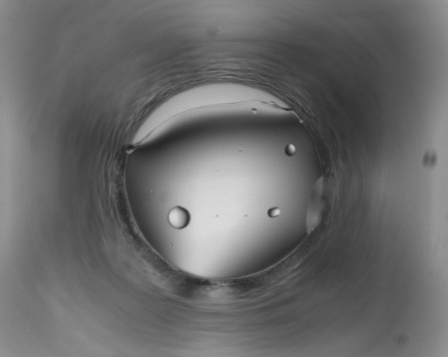 X0000112510219200908311341