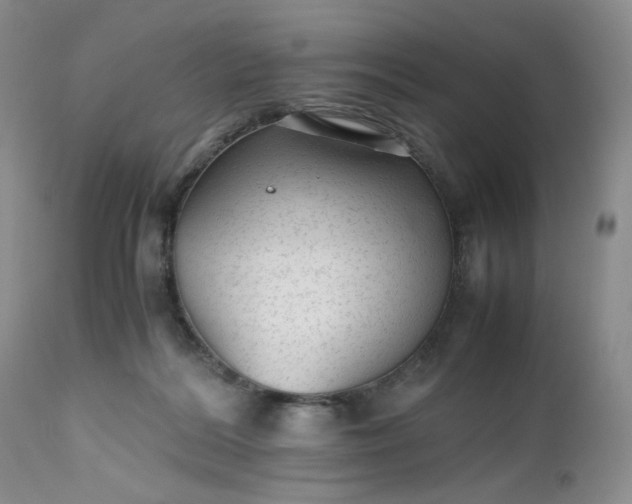 X0000112510220200908311340