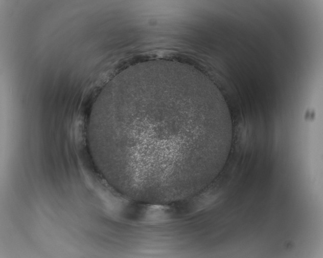 X0000112510222200908311340