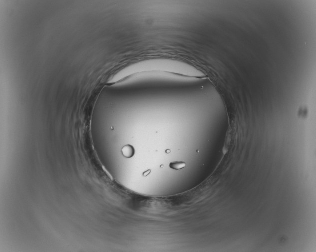 X0000112510223200908311340