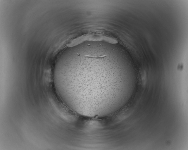 X0000112510224200908311340